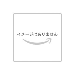 【新価格版】 ニンテンドー3DS フレアレッド
